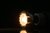 LED Reflektor-Strahler MR-16 - 7,0 Watt (45W) Matt - 2000-3000 Kelvin Ambient-Dimming - 40°