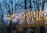 LED Rustika Lampe "Golden-Glass" - E-27 6,0 Watt (35W) - 2.000 K Dimmbar - Long-Style