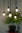LED Globe Lampe Opal E-27 - 3,2 Watt (30W) 2.700 Kelvin - Dimmbar T-80