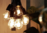LED - Glühlampe - Klar E-27 - 5,0 Watt (35W) 2.200 Kelvin - Dimmbar
