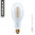 LED Glühlampe Ellipse E-27 - 12,0 Watt (45W) 2.200 Kelvin - Dimmbar Curved "Spirale"
