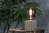 LED Globe Lampe - Klar E-27 - 6,0 Watt (17W)  1.900 Kelvin - T-125 Dimmbar - Curved Smokey-Grey